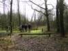 NWK 2012 020_small.jpg